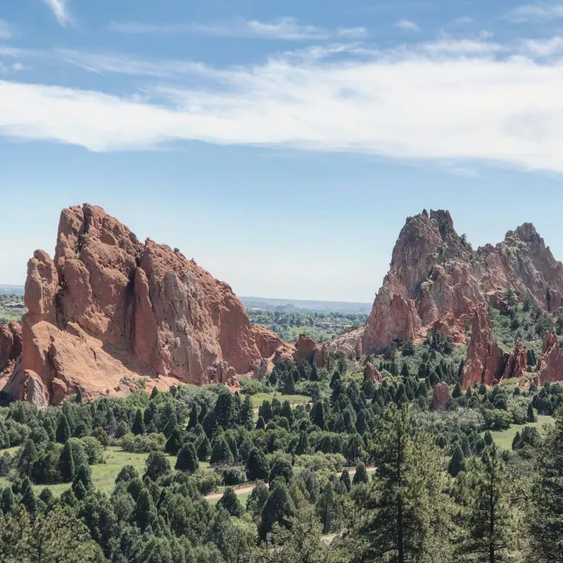 Red rock formations rising above green pine trees