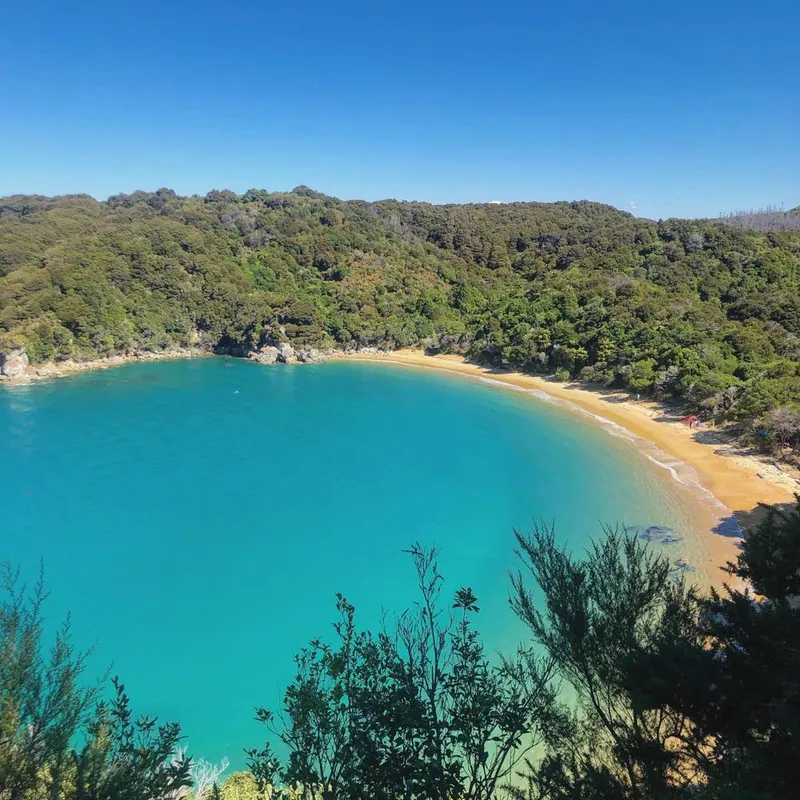 A turquoise bay curving into a golden beach and forest