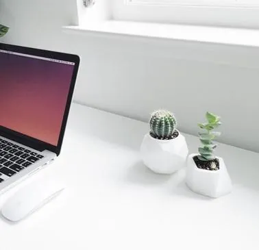 fiilo planters with cacti on a desk