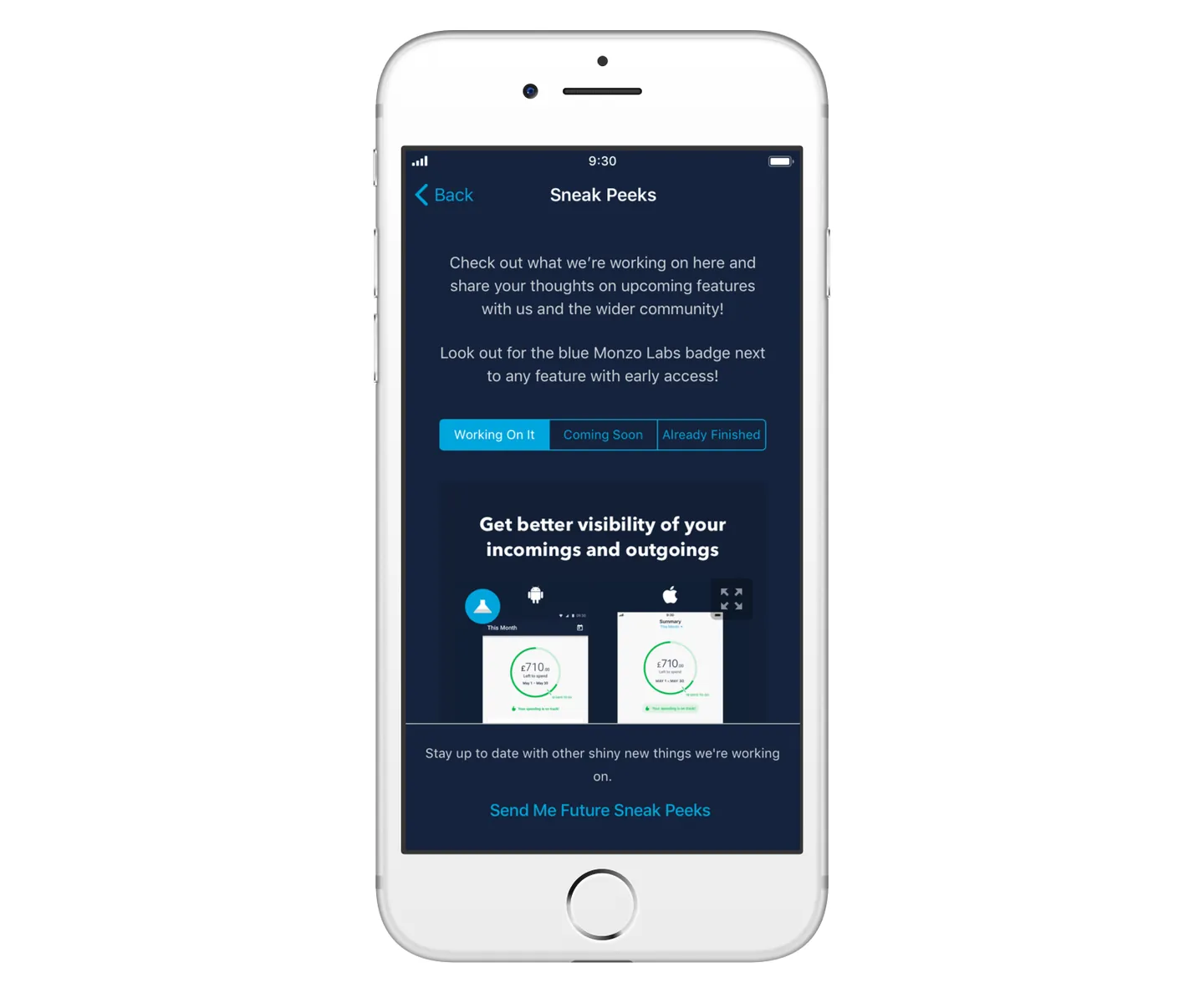 Monzo labs mockup